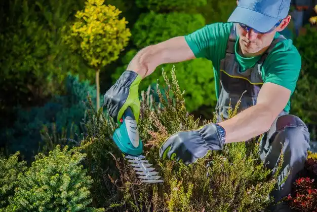 landscaping services Cortland